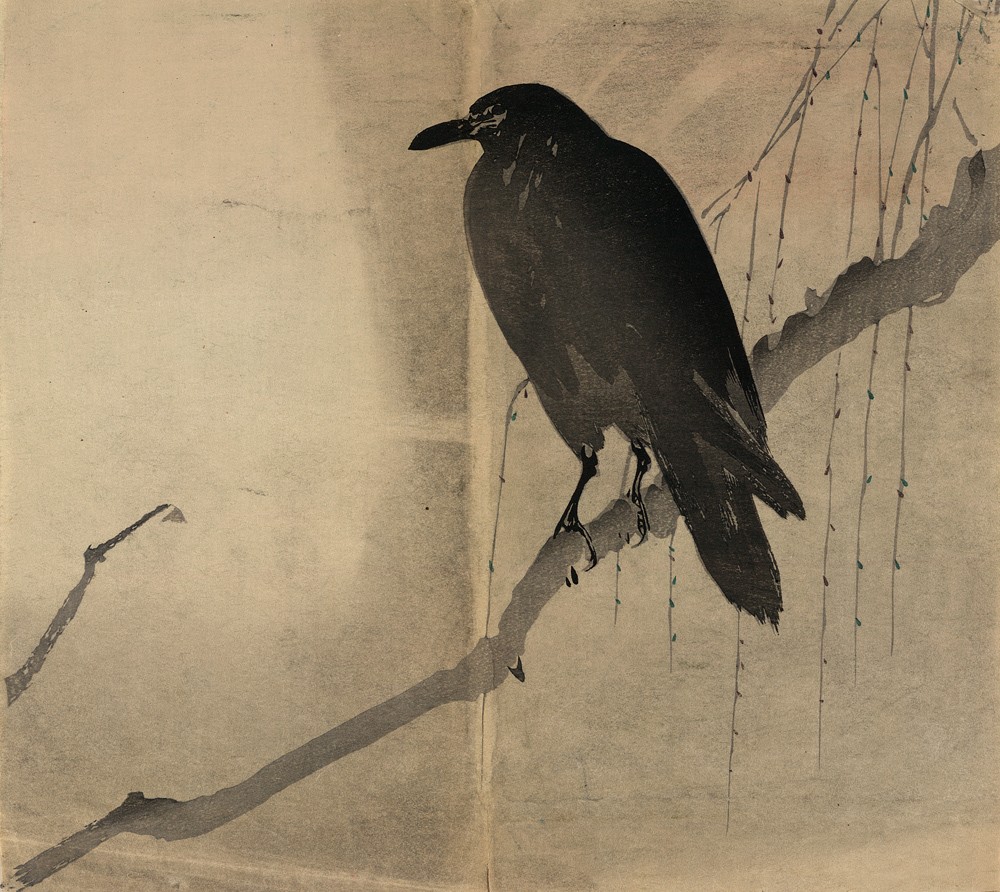 a crow on a&nbsp;branch