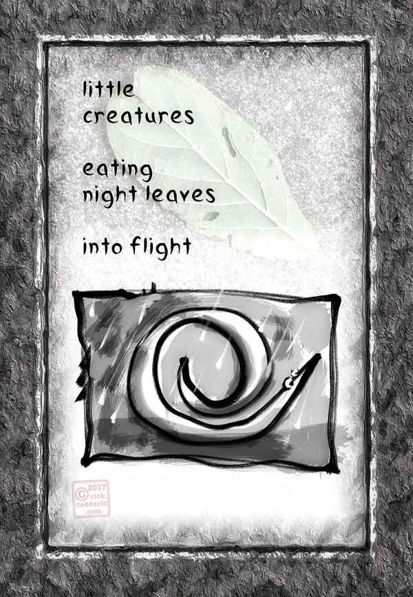 ©2017 night leaves flight 1 sml 6x