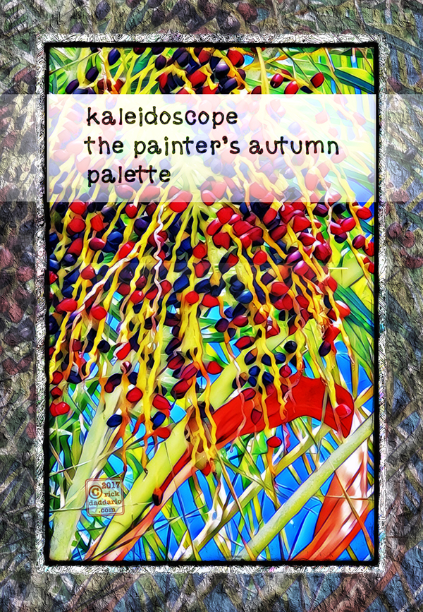 ©2017 palm seed colors 2 sml 6x