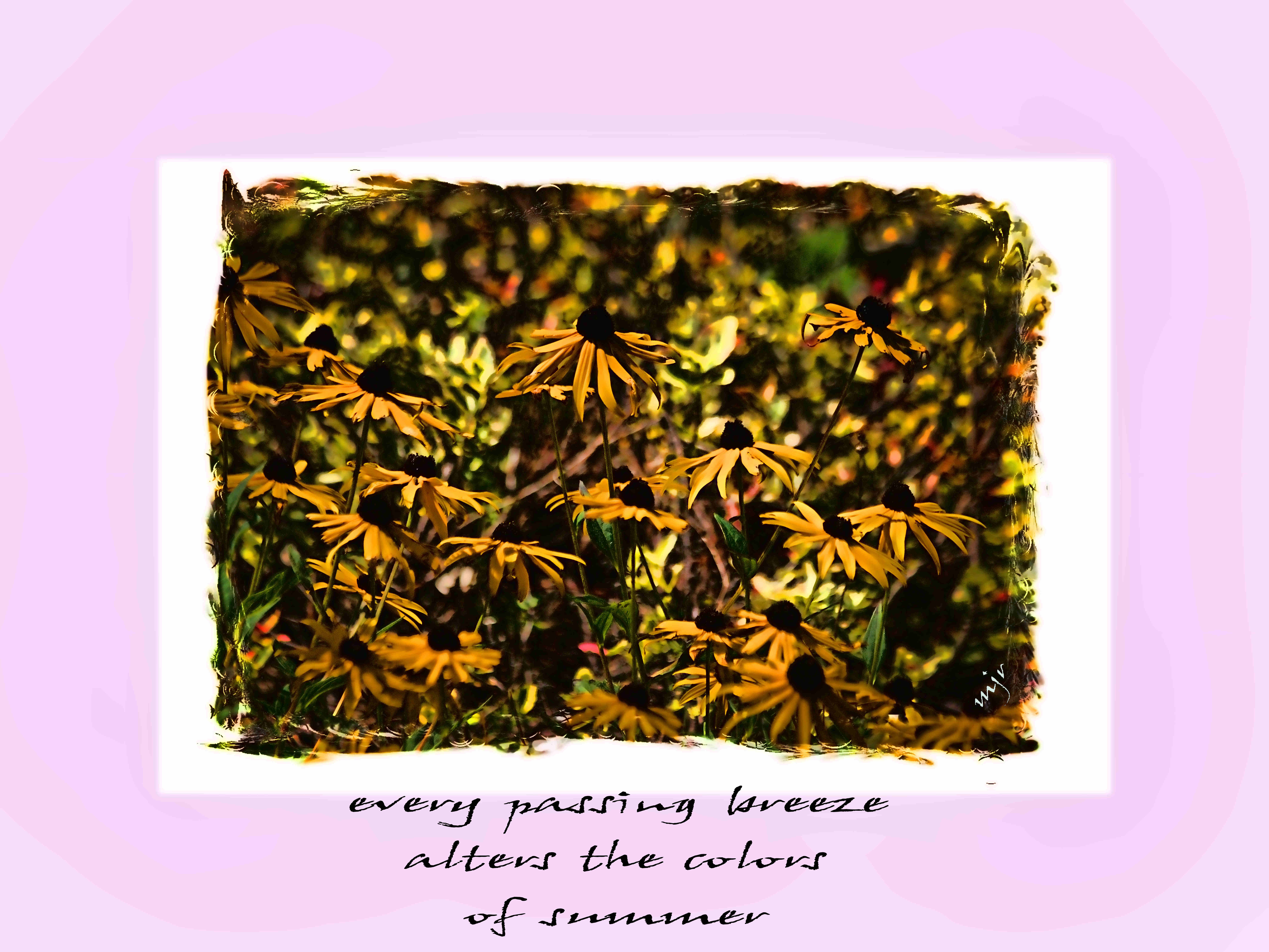 everypassingbreezehaiga