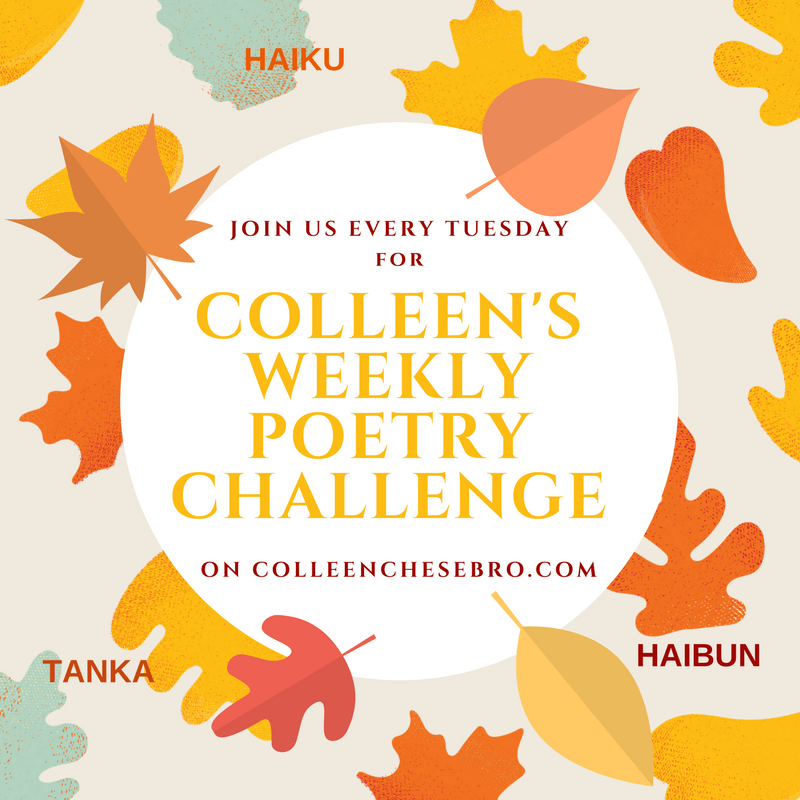 Colleen’s Weekly #Poetry Challenge No. 51 #Haiku #Tanka #Haibun: GIFT &&nbsp;SONG