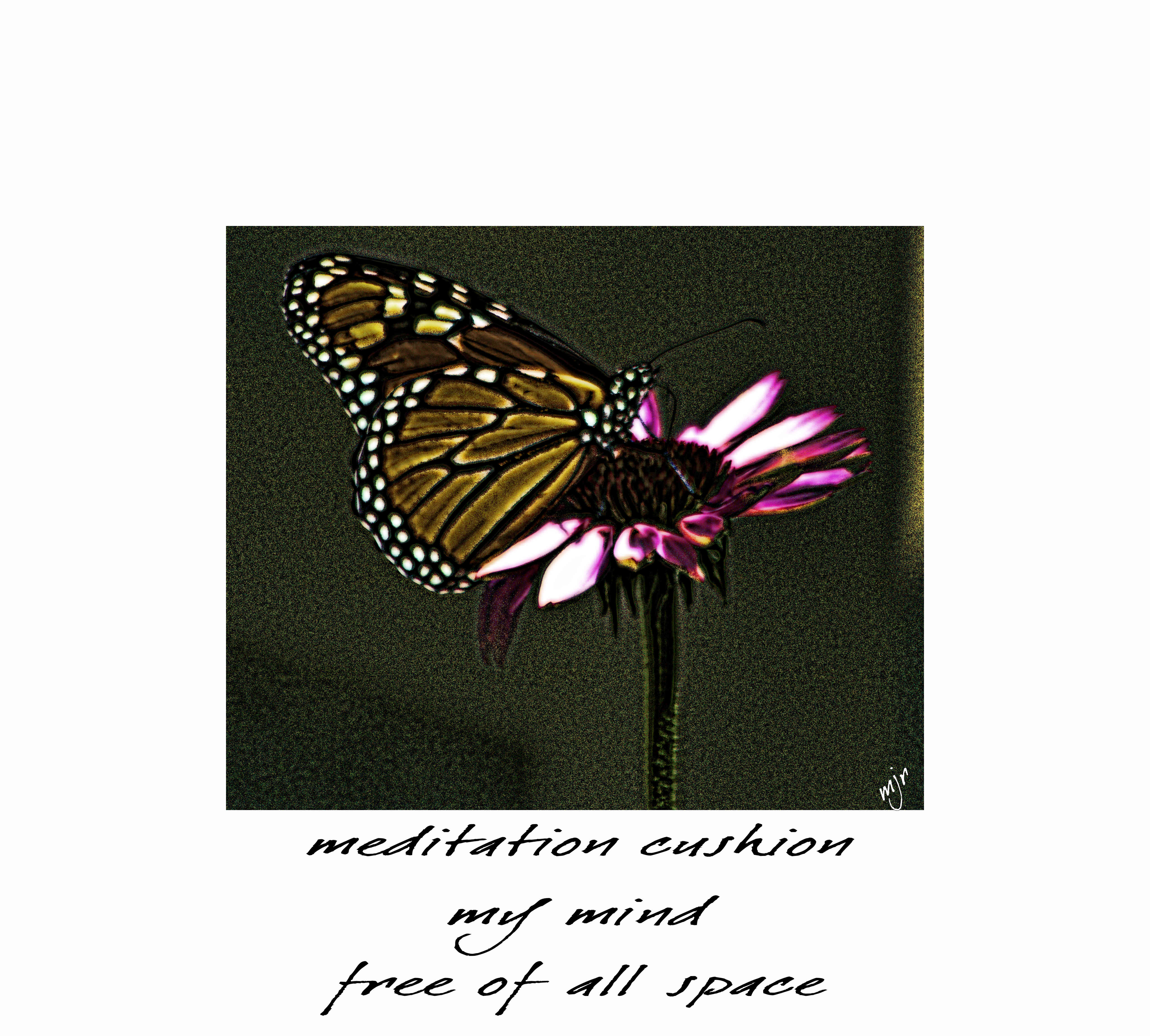 meditationcushionhaiga