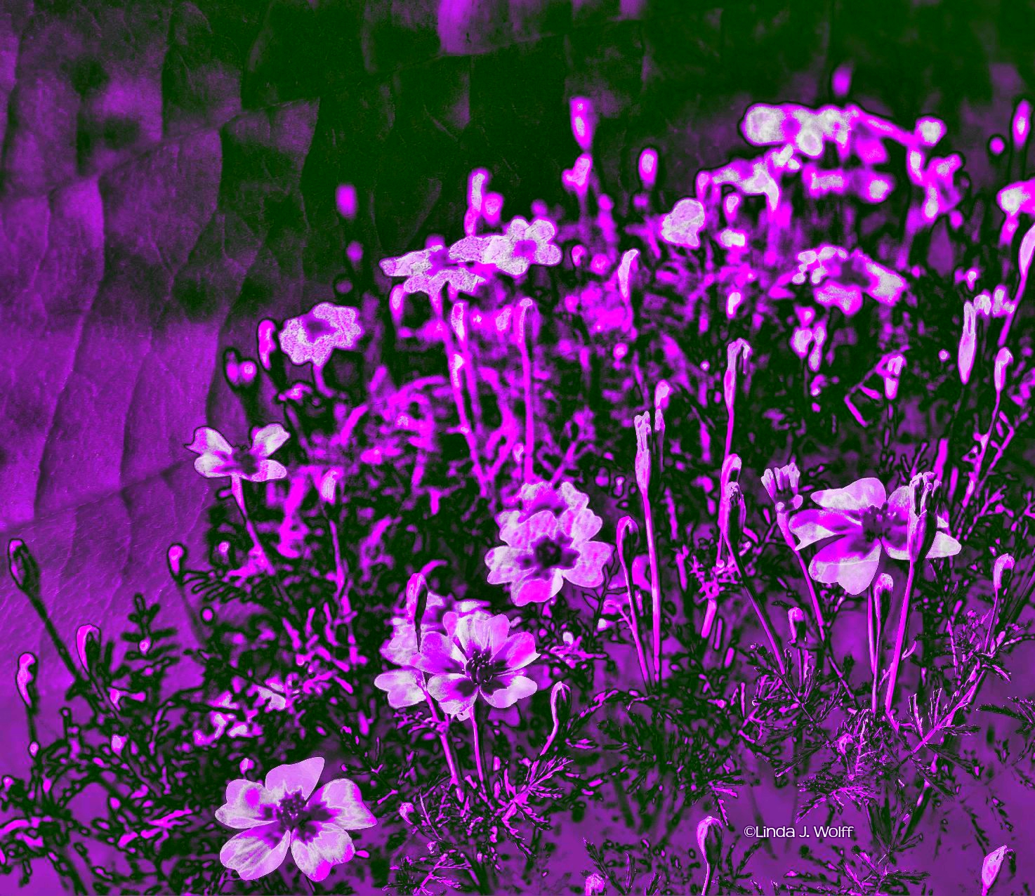 Image of Urban Daily Haiku - Hush