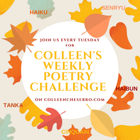 100217_1957_ColleensWee8.png