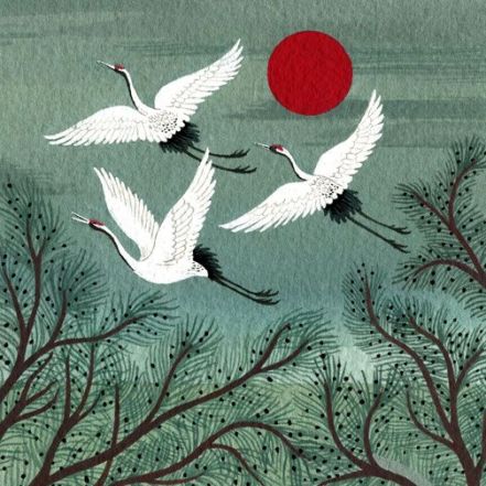 736d48aa2b239a26d8a83e27668ff5ce