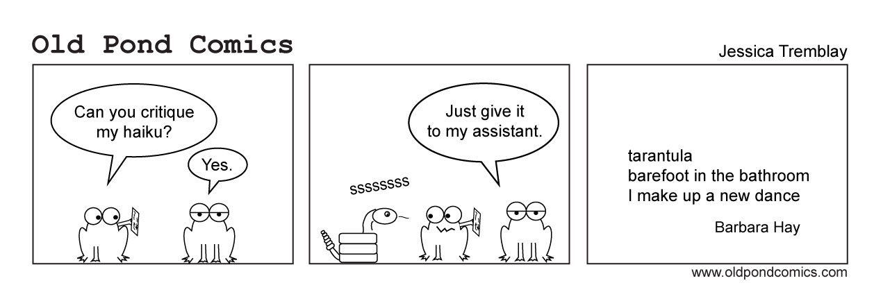 op-seabeck2017-workshop-anonymous-snake