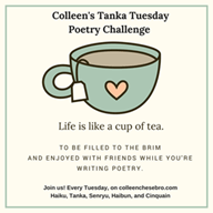 121817_1825_colleenstan1