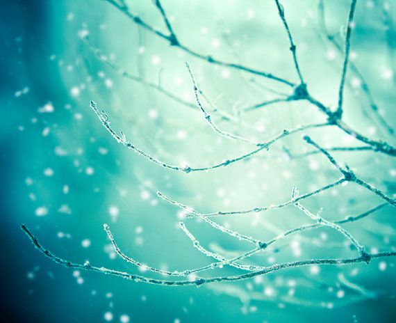 8bc2577e3bf1bce24e3da20d5b749030--christmas-snowflakes-blue-christmas