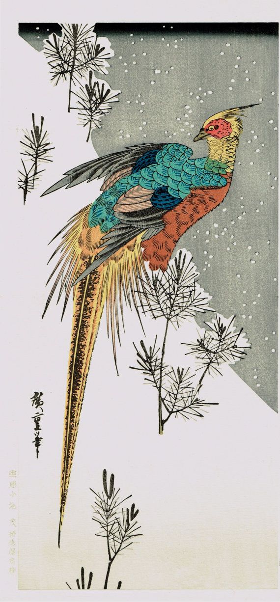 mountain pheasant