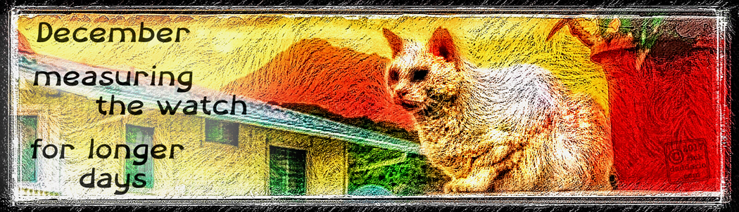 c2017-cat-sky-2-sml-h