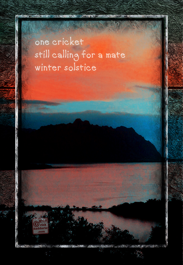 ©2017 cricket solstice 1 sml 6x