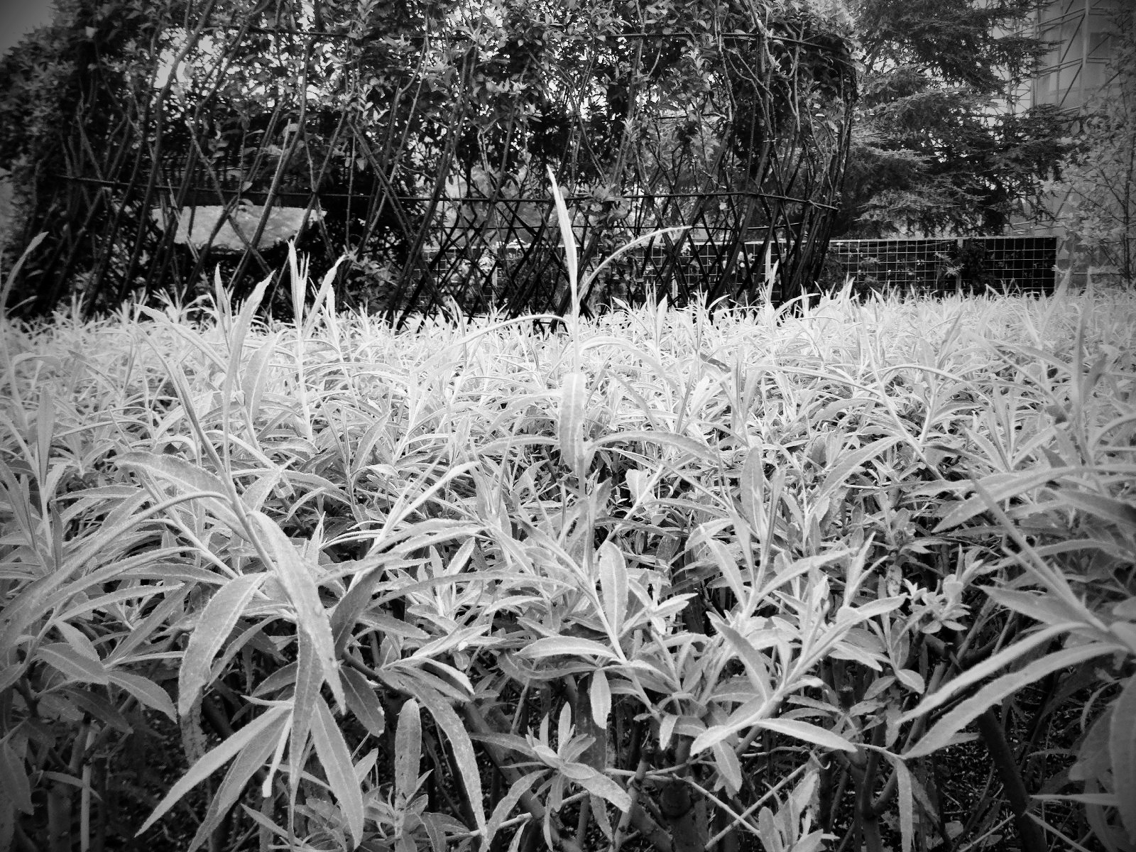 C360_2011-09-27 09-37-56.jpg