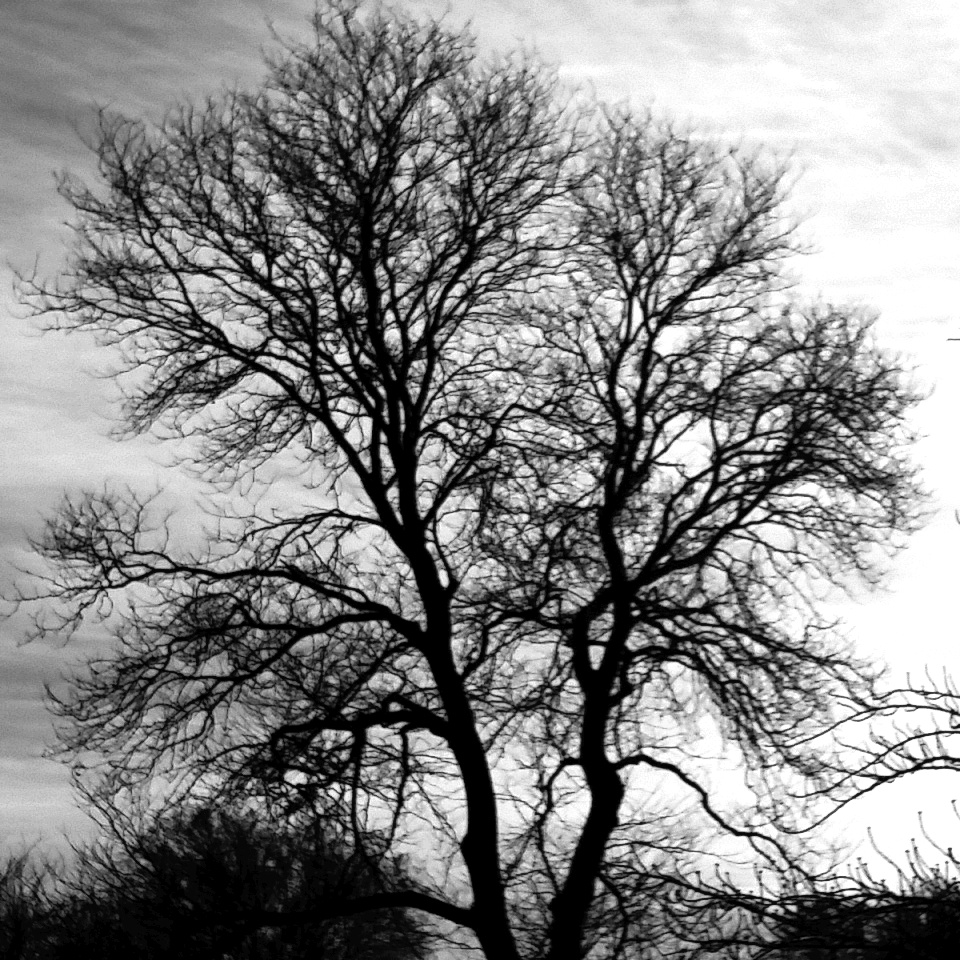 IMG_2017-11-26_13_16_52_bw