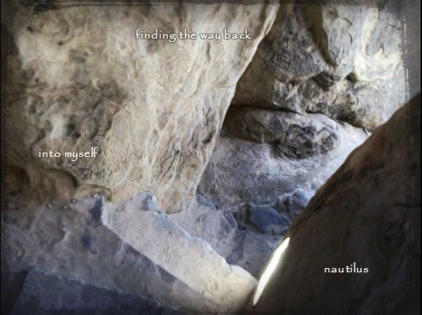 runner-up for Haiku Master of the Week 12 Dec 2017