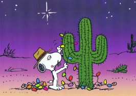 SpikeSchulzMuseum2013