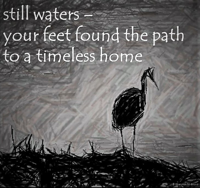  silhouette of single heron onshore