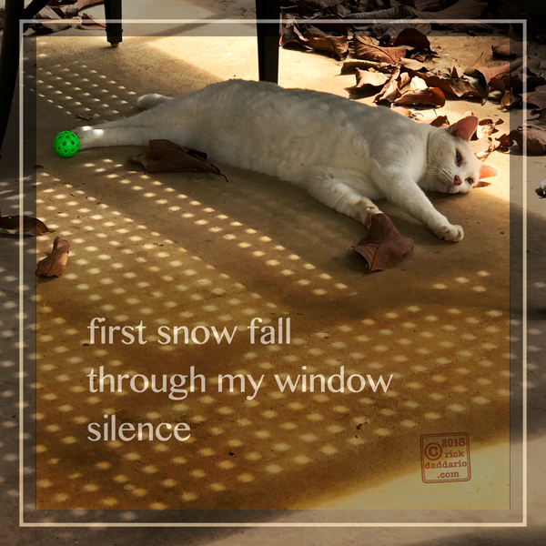 ©2018 window silence 1 sml 6x