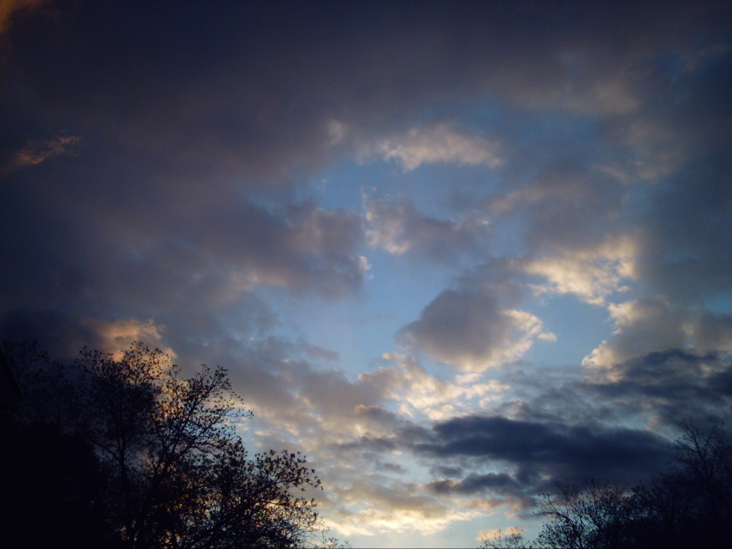 My beautiful picture