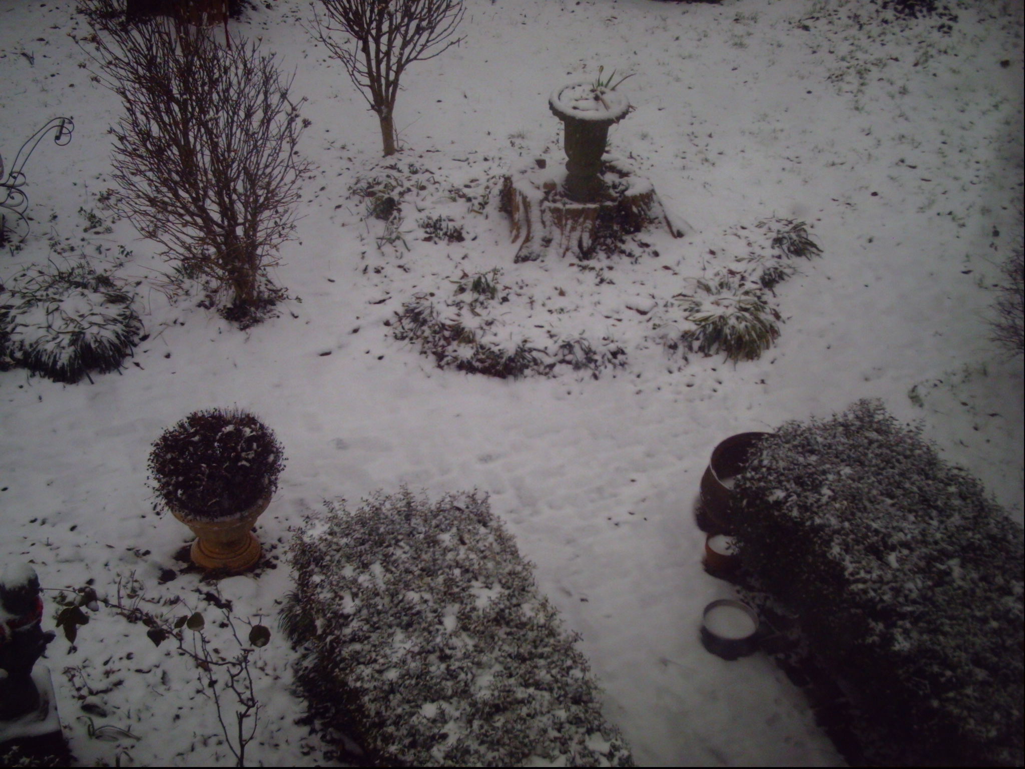 My beautiful picture