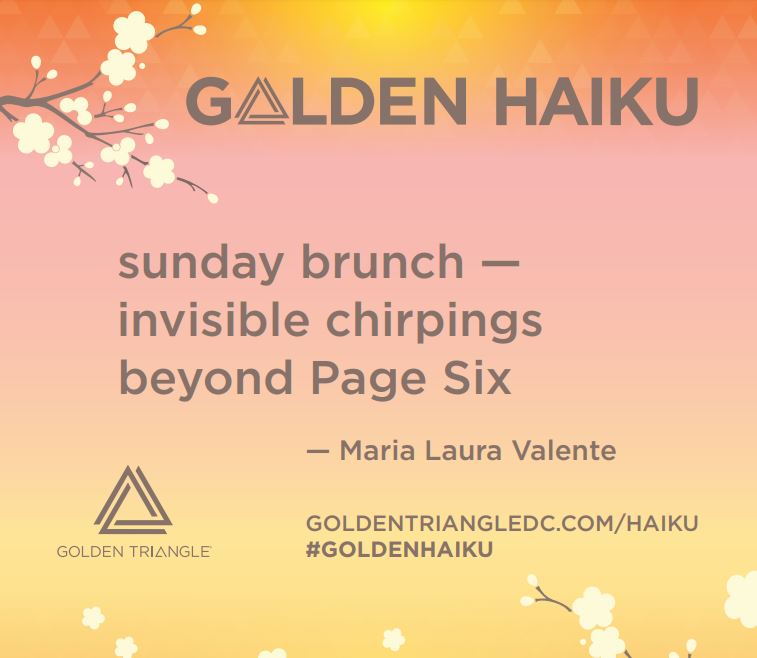 1519165617595_Cattura