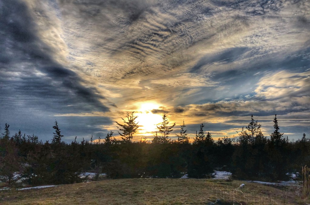 18FB1EAA-0AD3-4F55-80BB-15AC60A7A024