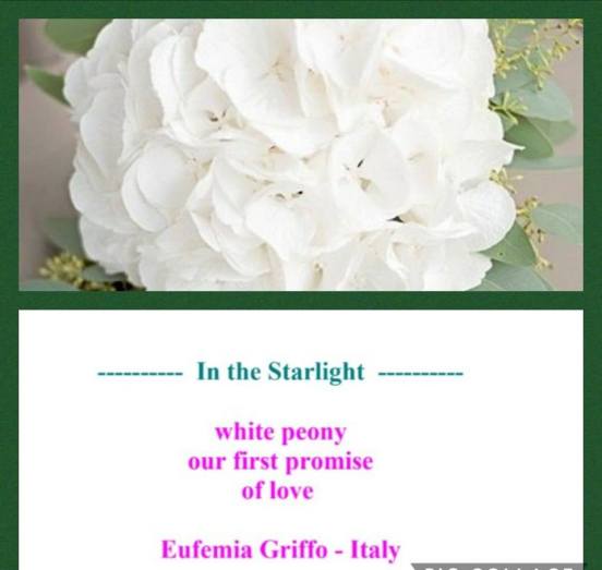 28468194_1780086718703069_4372510507746800208_n