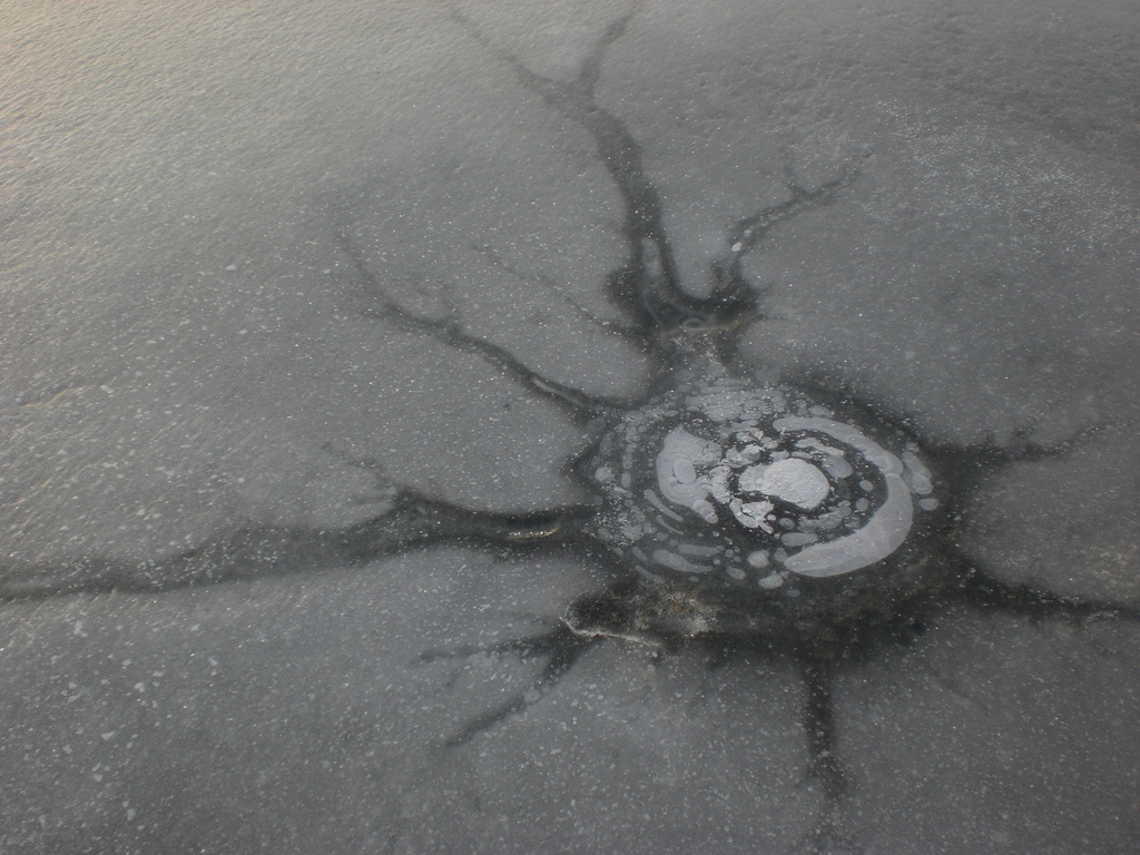 4348799178_cb0afdc18a_b