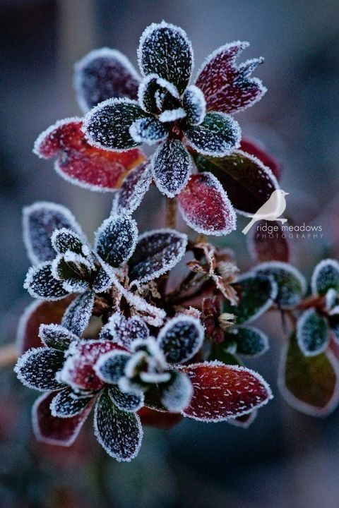 551d9d959ff65e6cf0ea821e71b56cf3