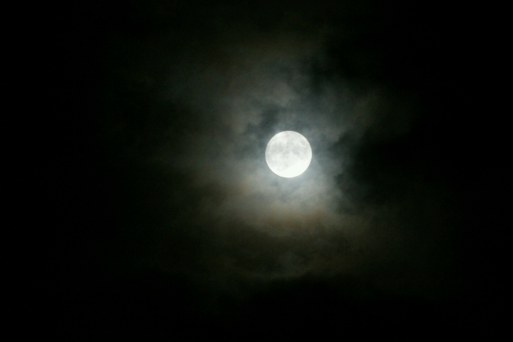 wp-1451020913607 (1)