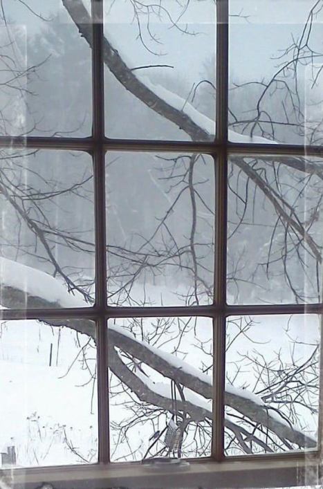 28378423_1785678851477189_7586809761363212448_n