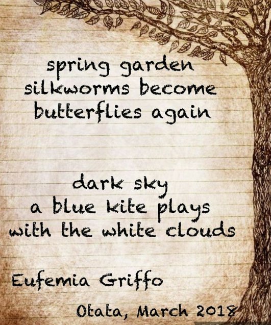 28535895_1786782461366828_805689686_n