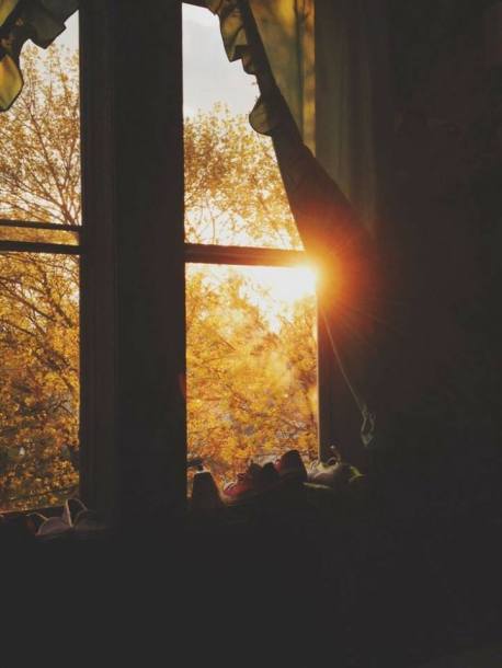 29177241_1801612769883797_8605049866109845504_n