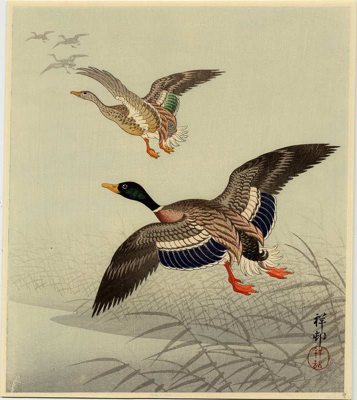 on their way&nbsp;home