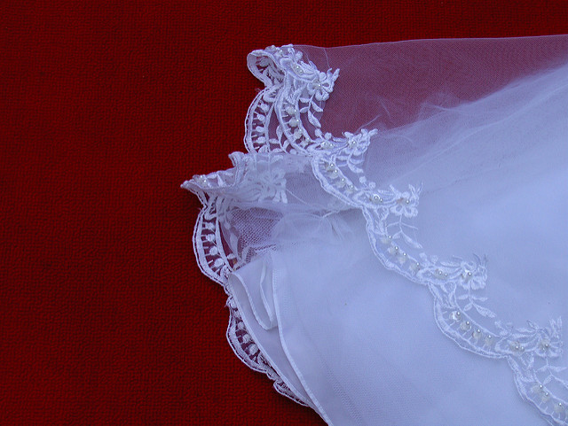 Joe Shlabotnik - Red Carpet