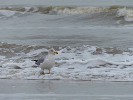 tears of loneliness.jpg