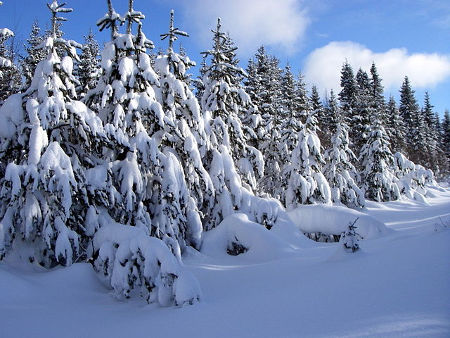 unexpected storm.jpg