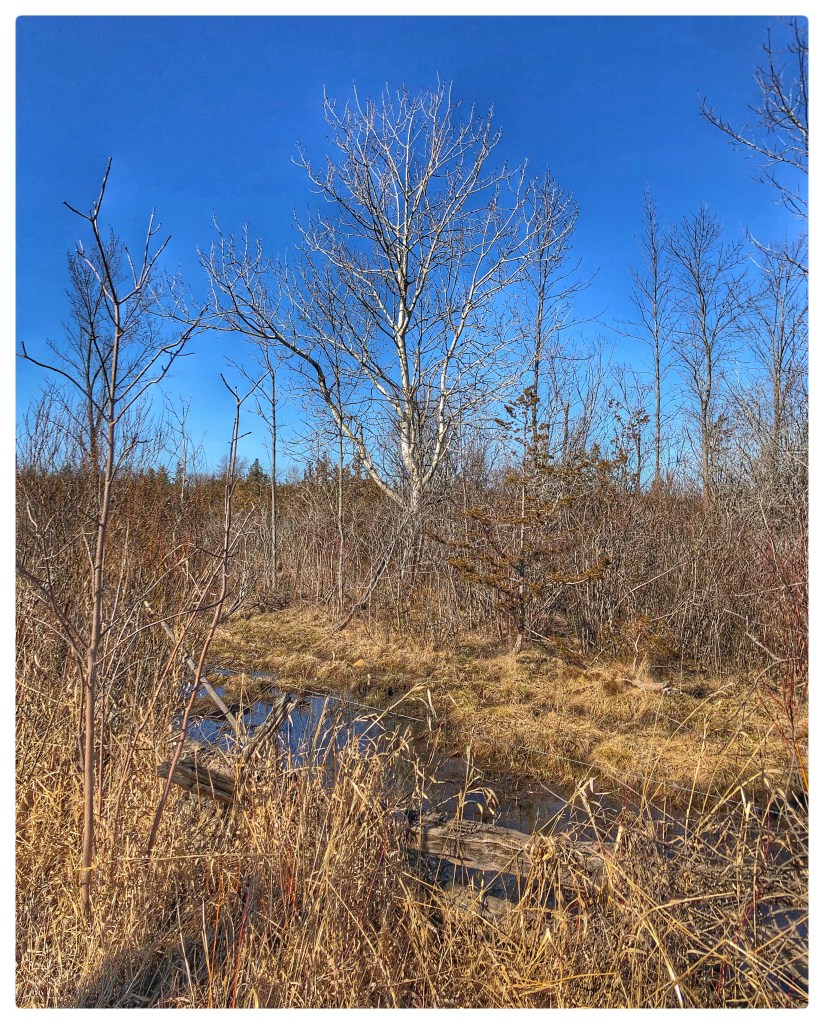 16D17C97-E482-45E5-8A17-D9BAA5E0ECC9