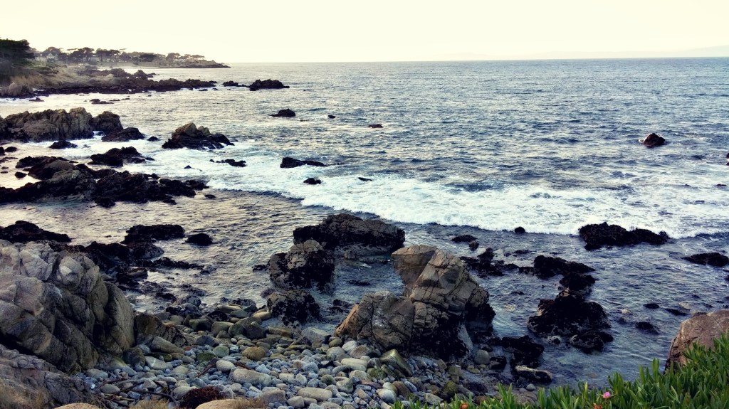 s p l i n t e&nbsp;r