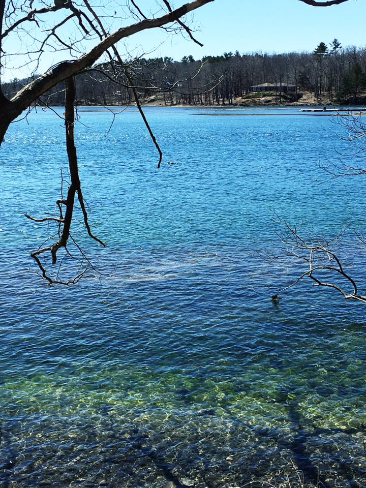 NaPoWriMo 2018 Day 12