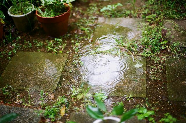 446ece62b419957163b4cb55b21d504c