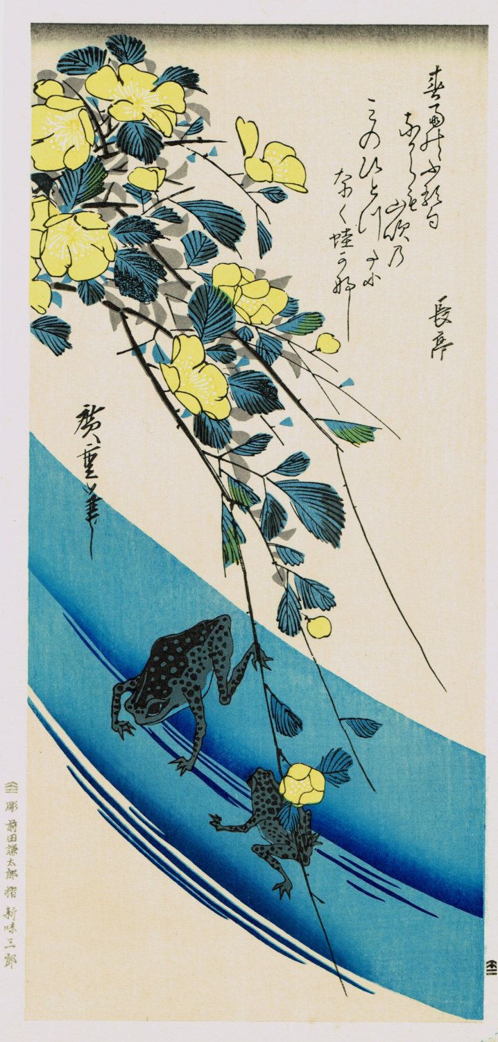 The frog and the misty&nbsp;moon