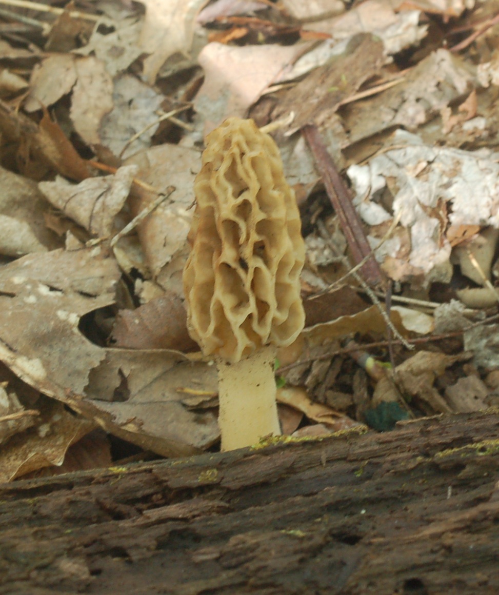 dsc_1254c_6915110020_o