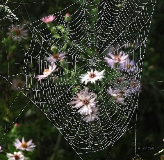 0be86d53b35b8e19812eb40270572bcb