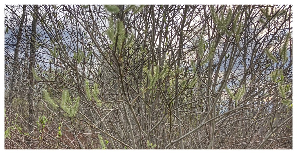 1481D03E-7F40-473F-A395-33BAA541079D