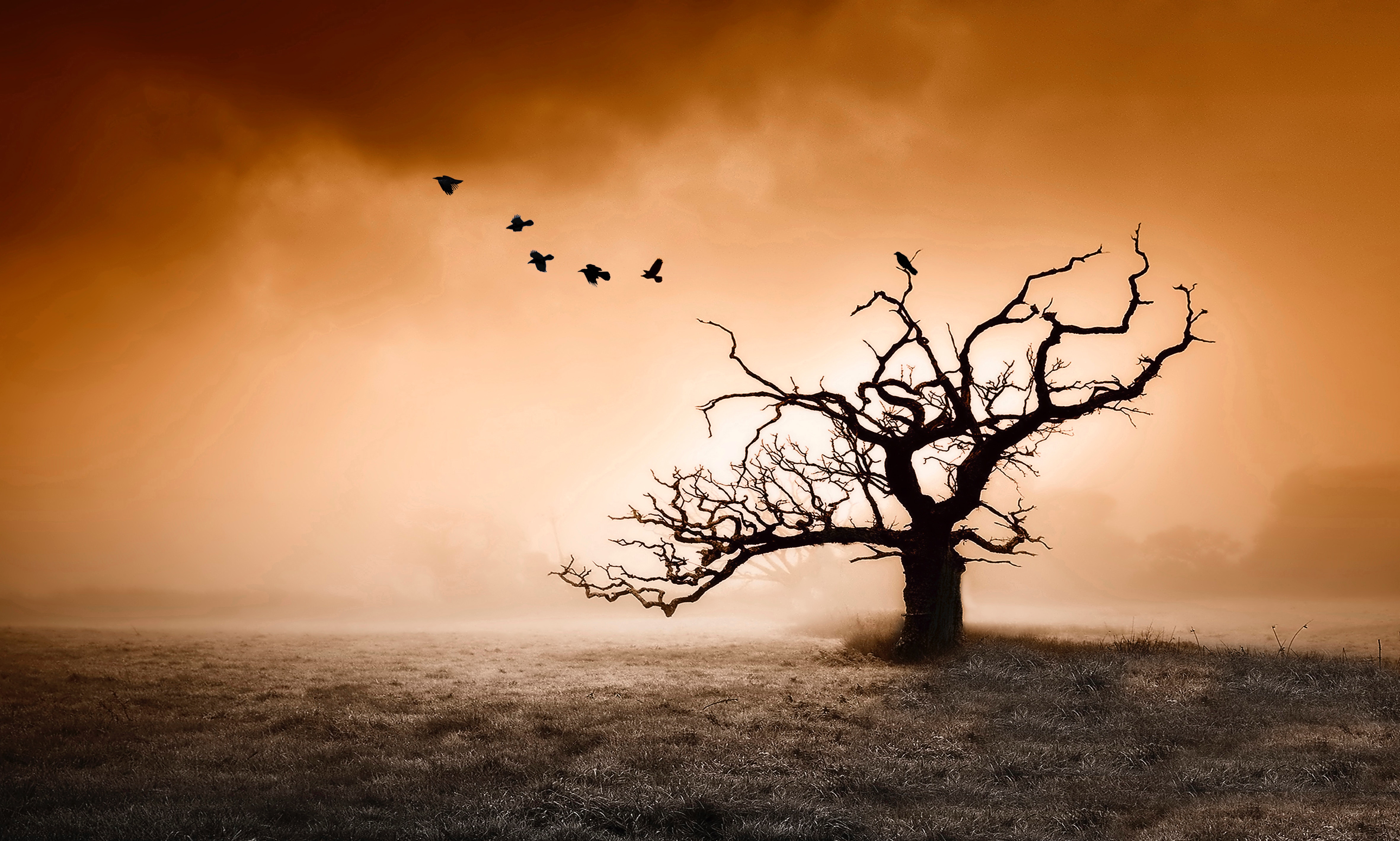 kurt-kleeb-491480-unsplash