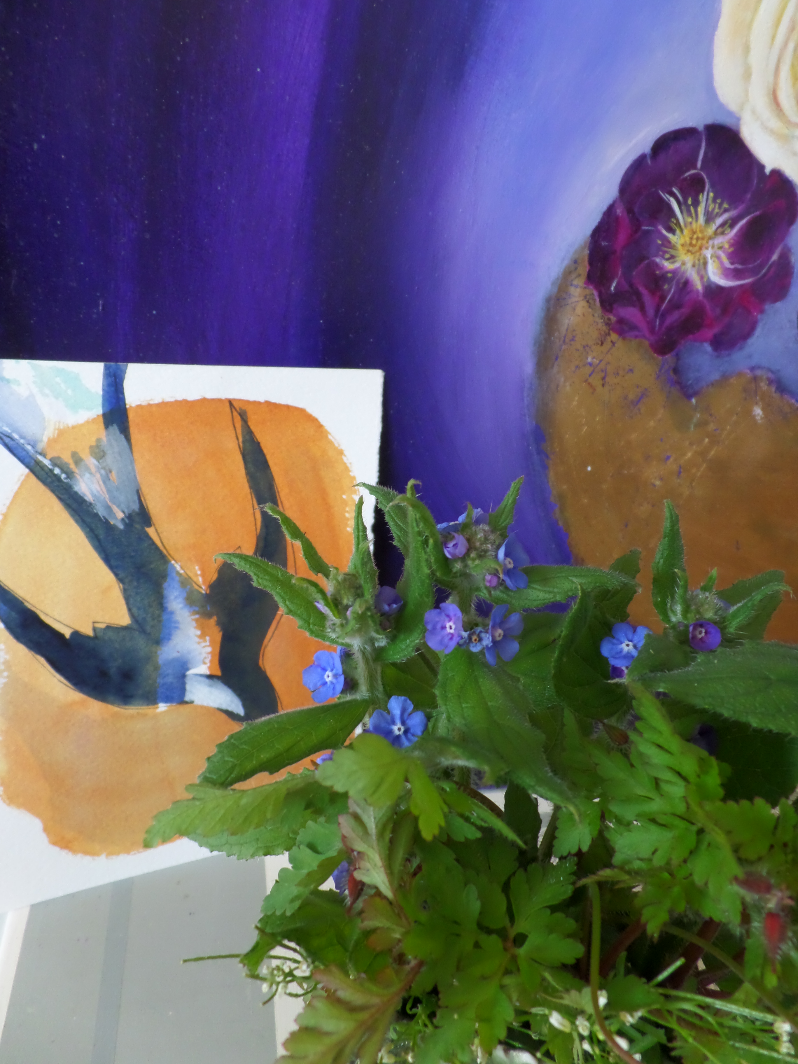 SAMSUNG CAMERA PICTURES