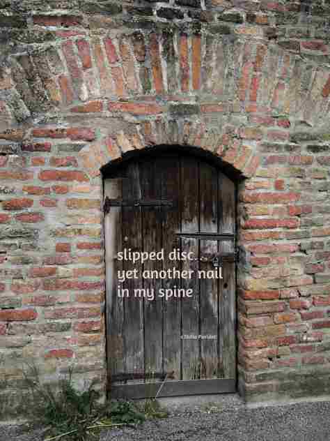 door,haiga,