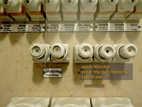 haiga,war,electrics,