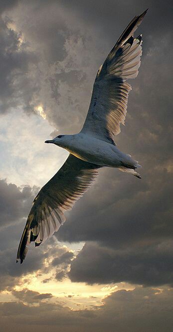 4b64ec2daf002236167710833b19ff9c