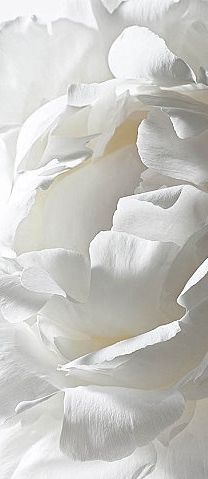 6fa7358dbc17d28ac19f55757f3bd886